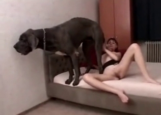 Redhead girl is having a nice dog