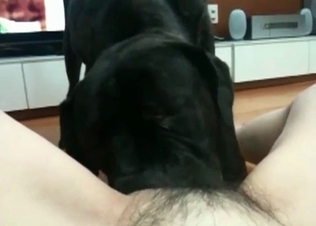 Awesome black dog fucks a tight snatch