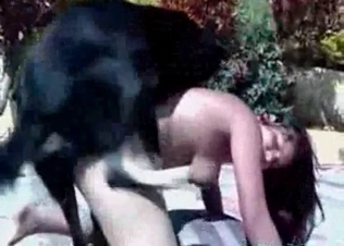 Trained hound impales her vagina