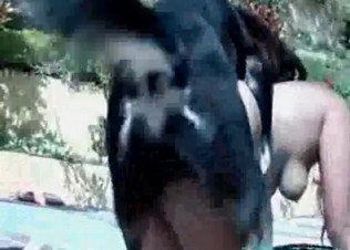 Trained hound impales her vagina