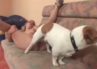 White dog pounds her small vagina
