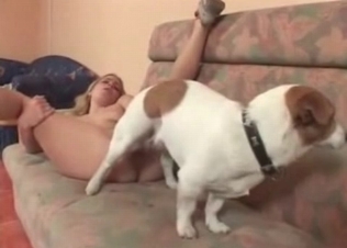 White dog pounds her small vagina