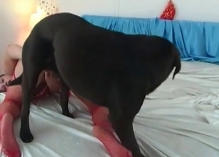 Filthy babe is sucking her dog's dick