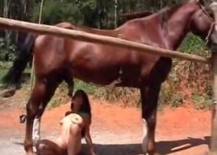Naked bitch is getting horse sperm