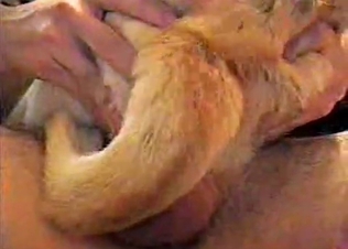 Small dog is being pounded very hard