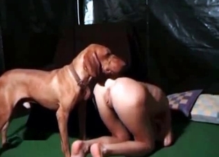 Trained hunter is licking her snatch