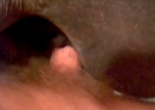 Zoophile fucks this animal in the asshole