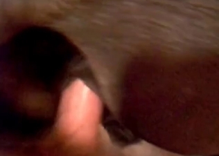 Zoophile fucks this animal in the asshole
