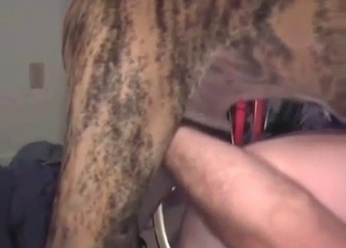 Hardcore amateur bestiality in the bedroom