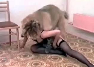 Hungry hound fucks with a kinky blonde