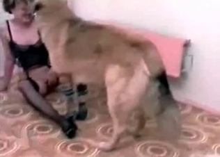Hungry hound fucks with a kinky blonde