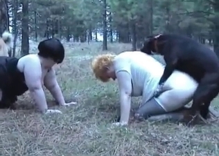 Two ladies are fucking with the dogs