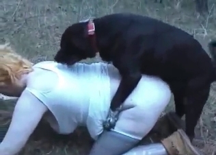 Two ladies are fucking with the dogs