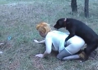 Two ladies are fucking with the dogs