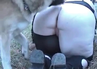 Two ladies are fucking with the dogs
