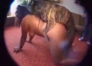 Awesome animal porn in the close-up