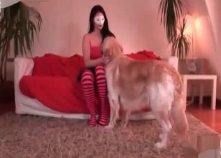 Hound licks and fucks her pussy