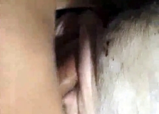 Horse is getting fucked from behind