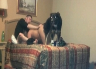 Couple of zoophiles in the bedroom