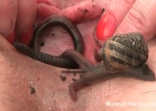 Nasty animality with the snakes