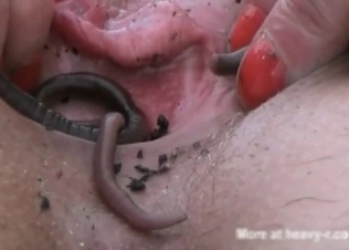 Nasty animality with the snakes