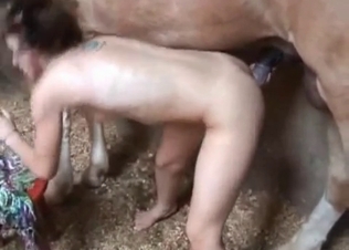 Giant stallion fucks with a teen