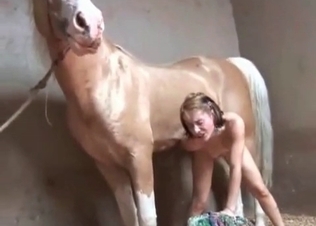 Giant stallion fucks with a teen