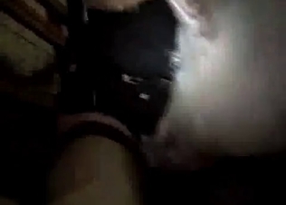 Filthy animal sex in the night scene