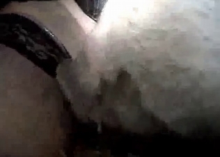 Filthy animal sex in the night scene