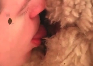 Dude eagerly eating sheep's pussy