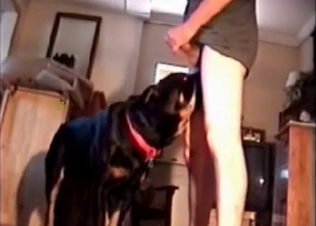 Close-up fucking with a dominant dog