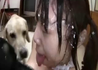 Dirty as hell Asian bestiality creamy porn XXX