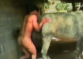 Horse anally fucked by a lusty farmer