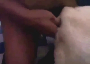Sexy-looking zoophile cock invades a dog's hole