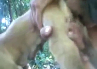 Dog's hot asshole and other holes are ready