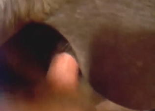 Mare fuck movie with lots of close-ups in HQ