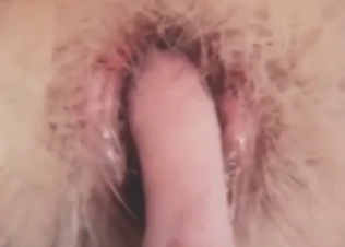 Tanuki fuck scene with close-ups and gape