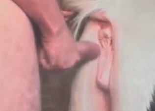Pony starring in bestiality porn with a hung guy