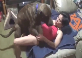 Impressive dog fuck scene with a slutty zoophile