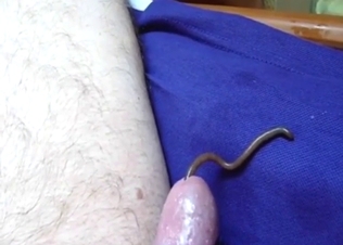 Wormy cock pleasure with that sexy sound