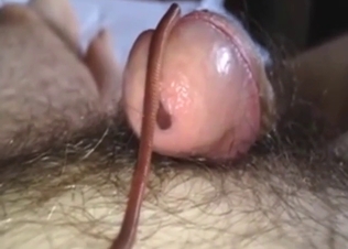 Wormy penis masturbation is a great hobby