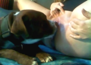 Fat girl keeps her legs open as the dog licks her