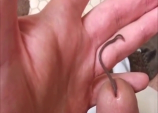 Earthworm now lives inside of his throbbing cock