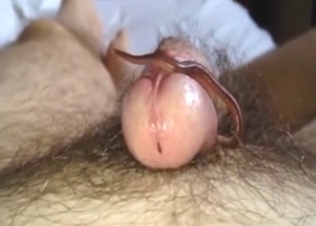 Cock hole is the perfect home for a FUCKING WORM