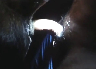 Taboo poop-based fuck scene with a slutty cow