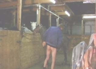 XXX gape scene with a guy who moans with horse
