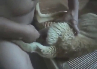 Dude has a slutty dog that he wants to power-fuck