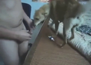 Dude has a slutty dog that he wants to power-fuck
